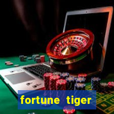 fortune tiger source code